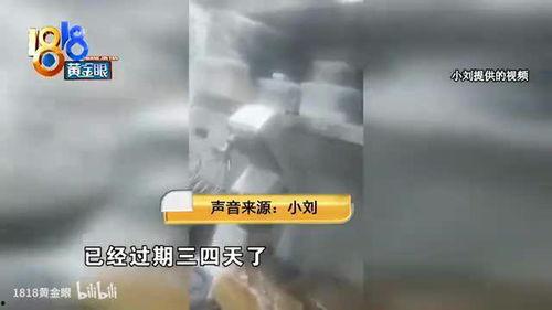 西点师爆料视频,揭秘烘焙秘籍与行业真相