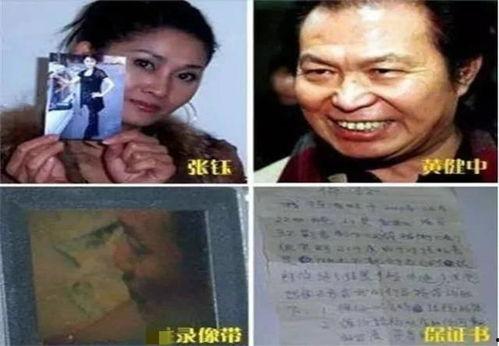 爆料明星的导演是谁啊视频,揭秘视频背后的神秘力量