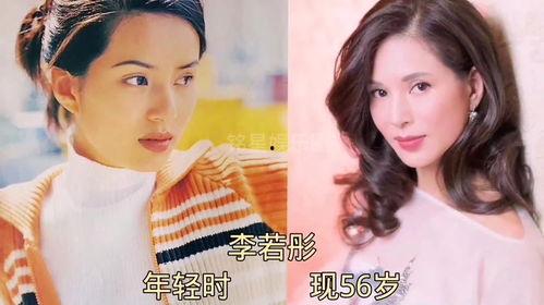 娱乐圈十大爆料事件,揭秘明星背后的秘密与真相