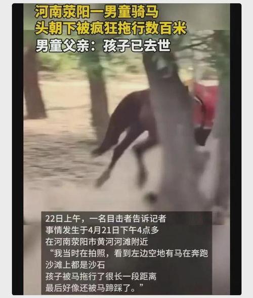 马兹拉爆料视频大全集,揭秘幕后真相与精彩瞬间