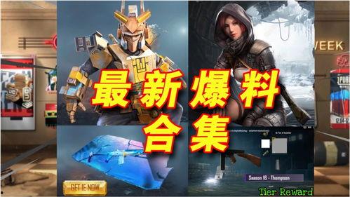 吃鸡国际服爆料视频大全,揭秘游戏幕后精彩瞬间