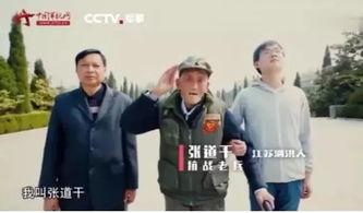 军视网视频在线观看