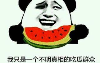 吃瓜群众是成语吗,揭秘网络热词背后的成语文化