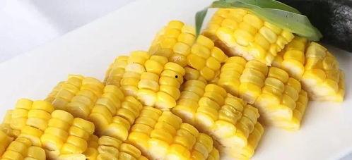 娱乐吃瓜酱玉米