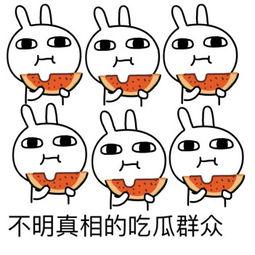 吃瓜表情包动图,趣味横生的网络文化现象