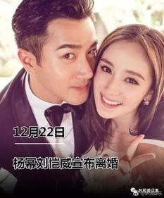 吃瓜娱乐圈文字版小说