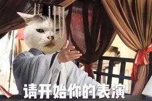 娱乐圈老瓜新吃的是谁